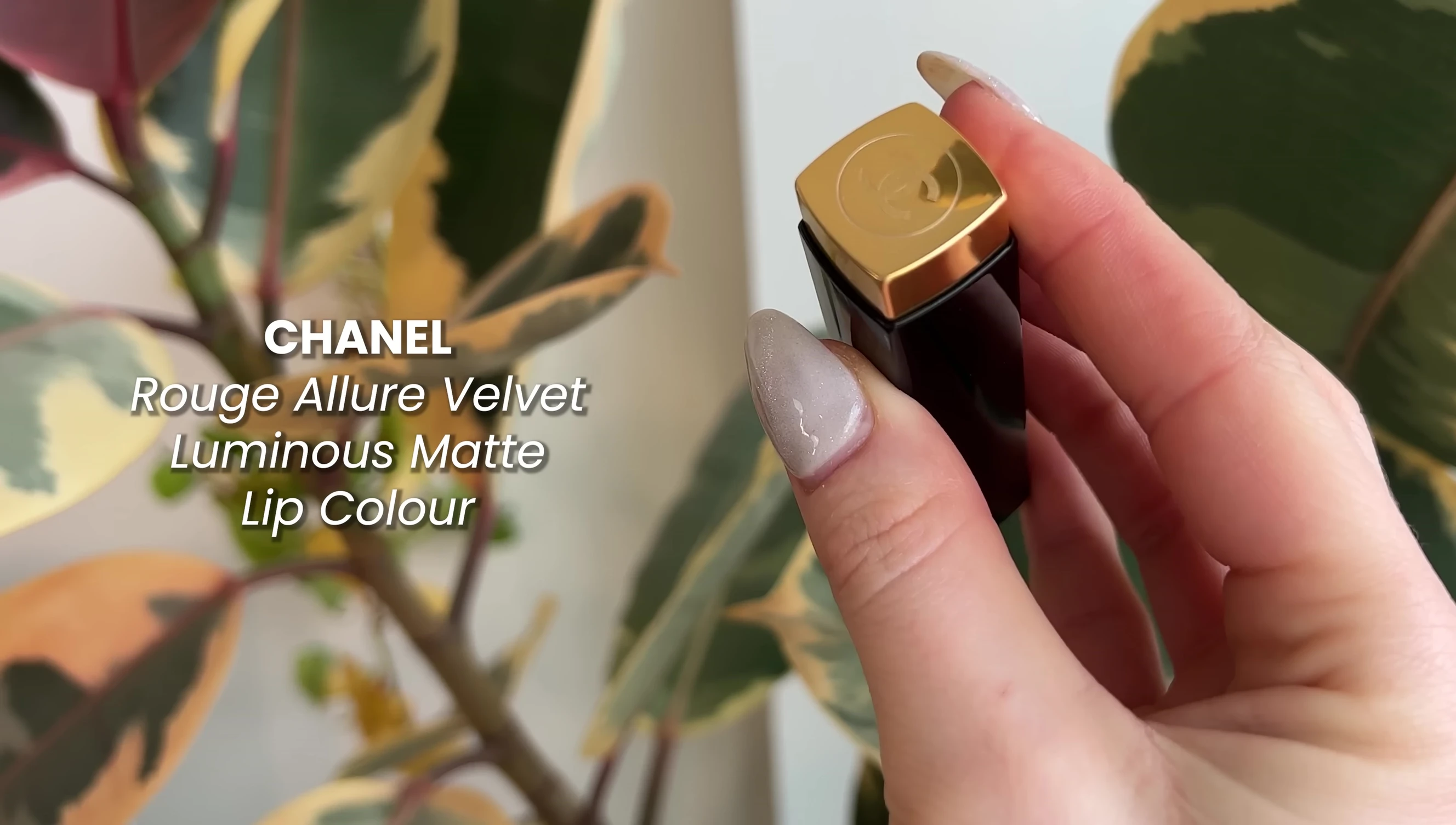Chanel Rouge Allure Velvet Lipstick swatches