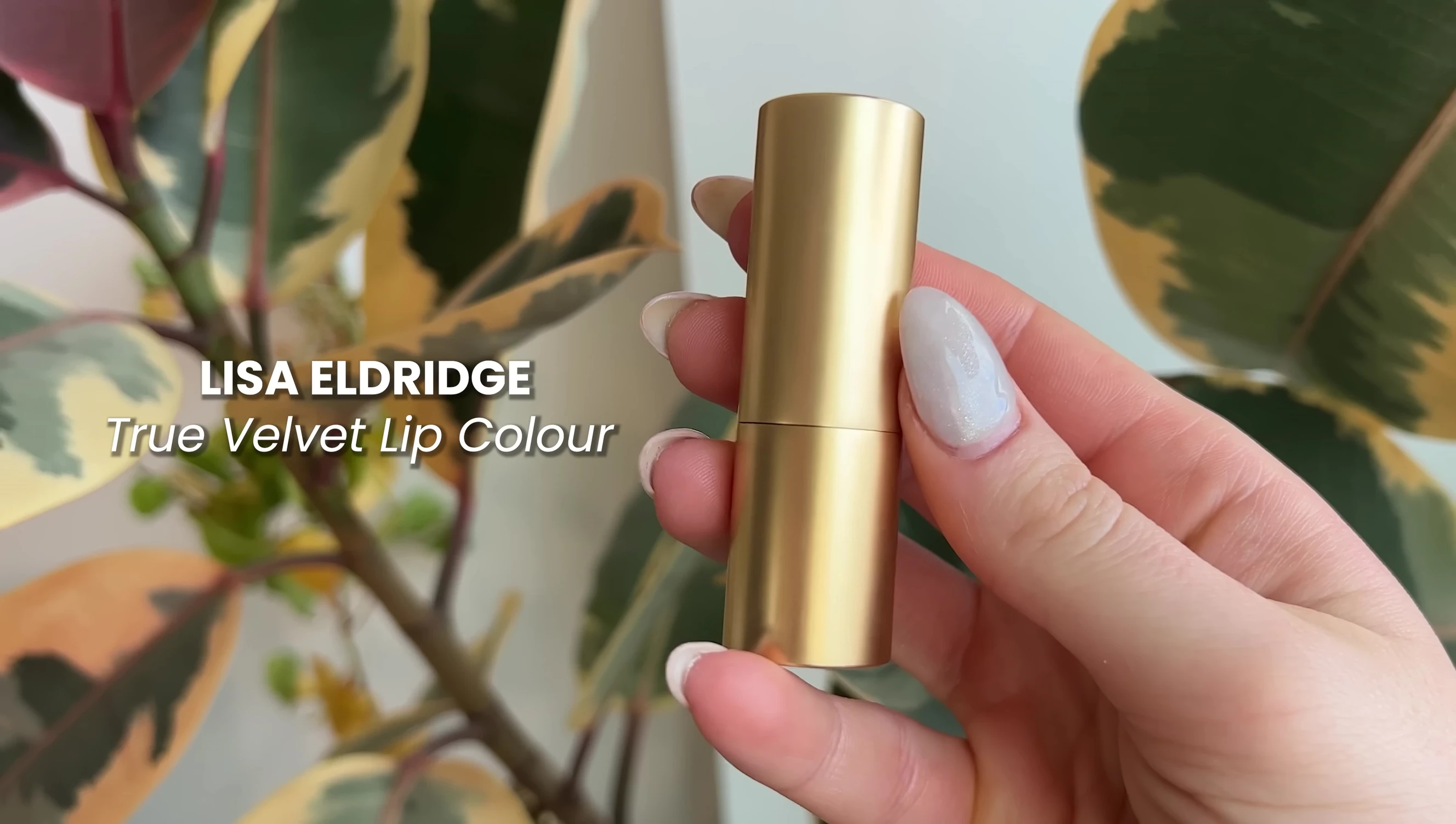 Lisa Eldridge Velvet Matte Lipstick swatches
