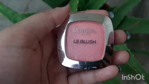 L'Oréal Paris True Match Blush 165 Rose Bon Bon Review: A Detailed Look