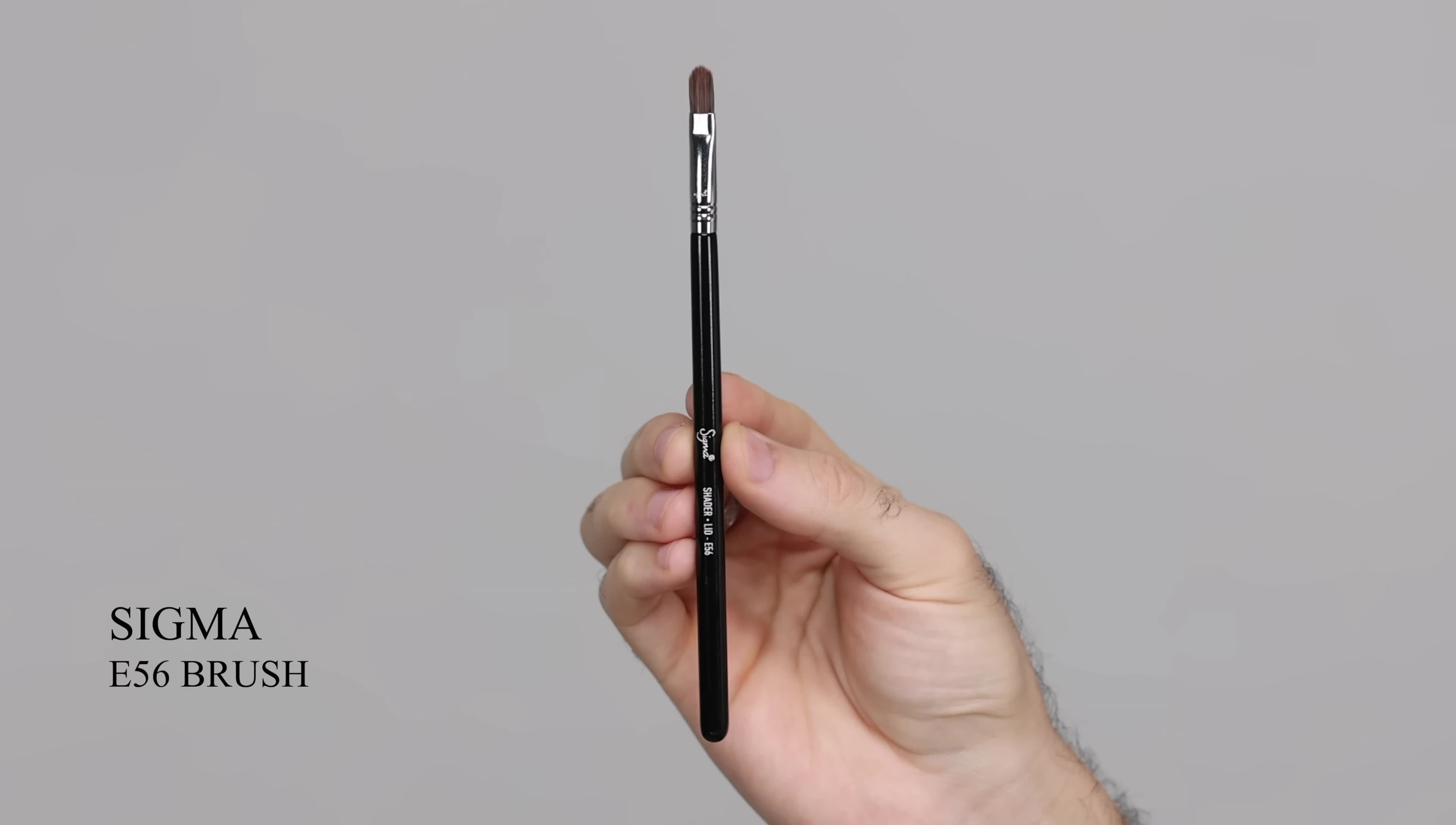 Sigma Shader Lid brush E56
