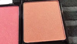 Wet n Wild Color Icon Blush Review: New Formula, Packaging & Swatches