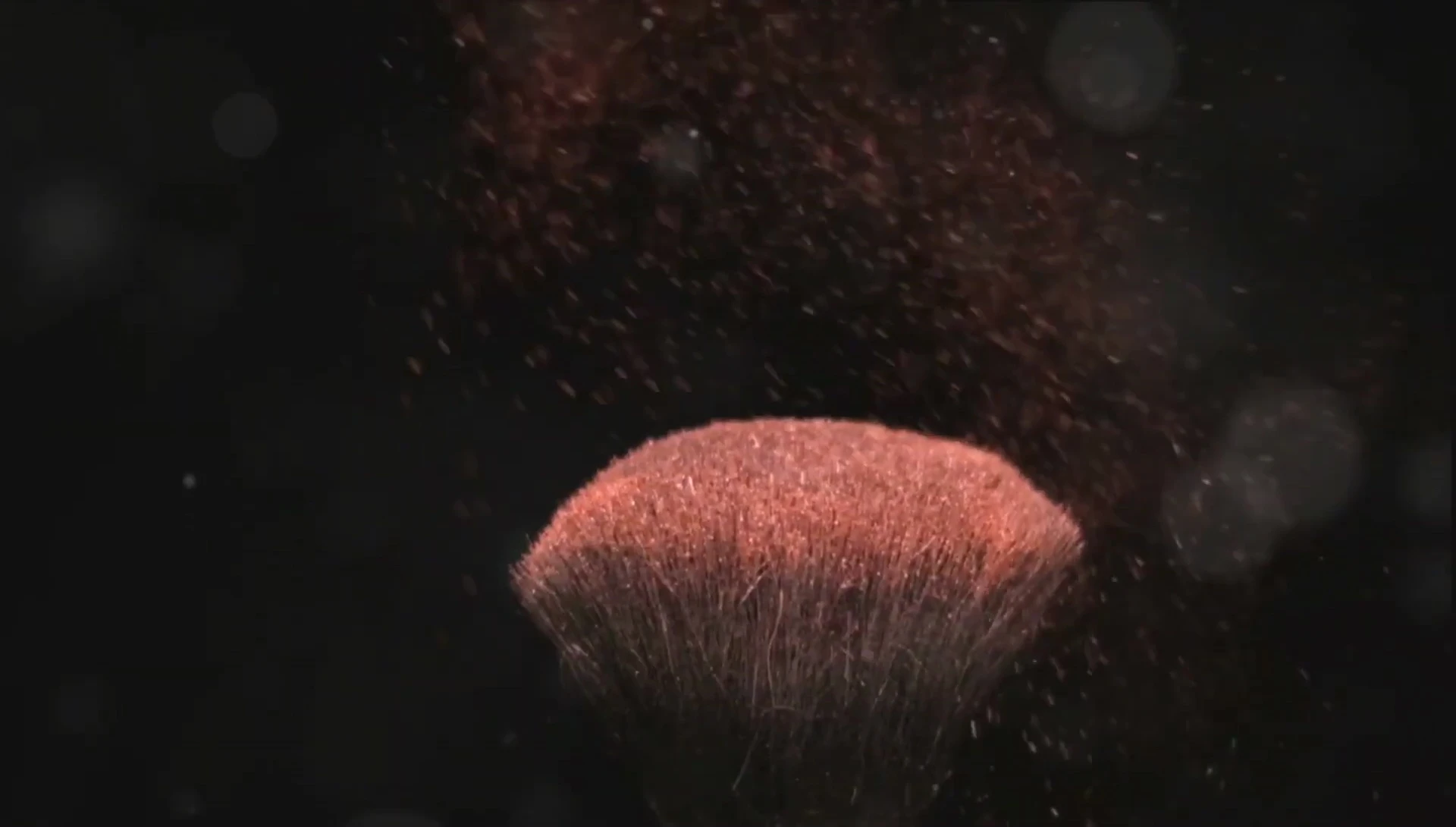 Detailed shot showcasing the brush's soft synthetic bristles.