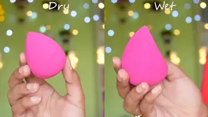Wet n Wild Makeup Sponge Review: Affordable & Beginner-Friendly?